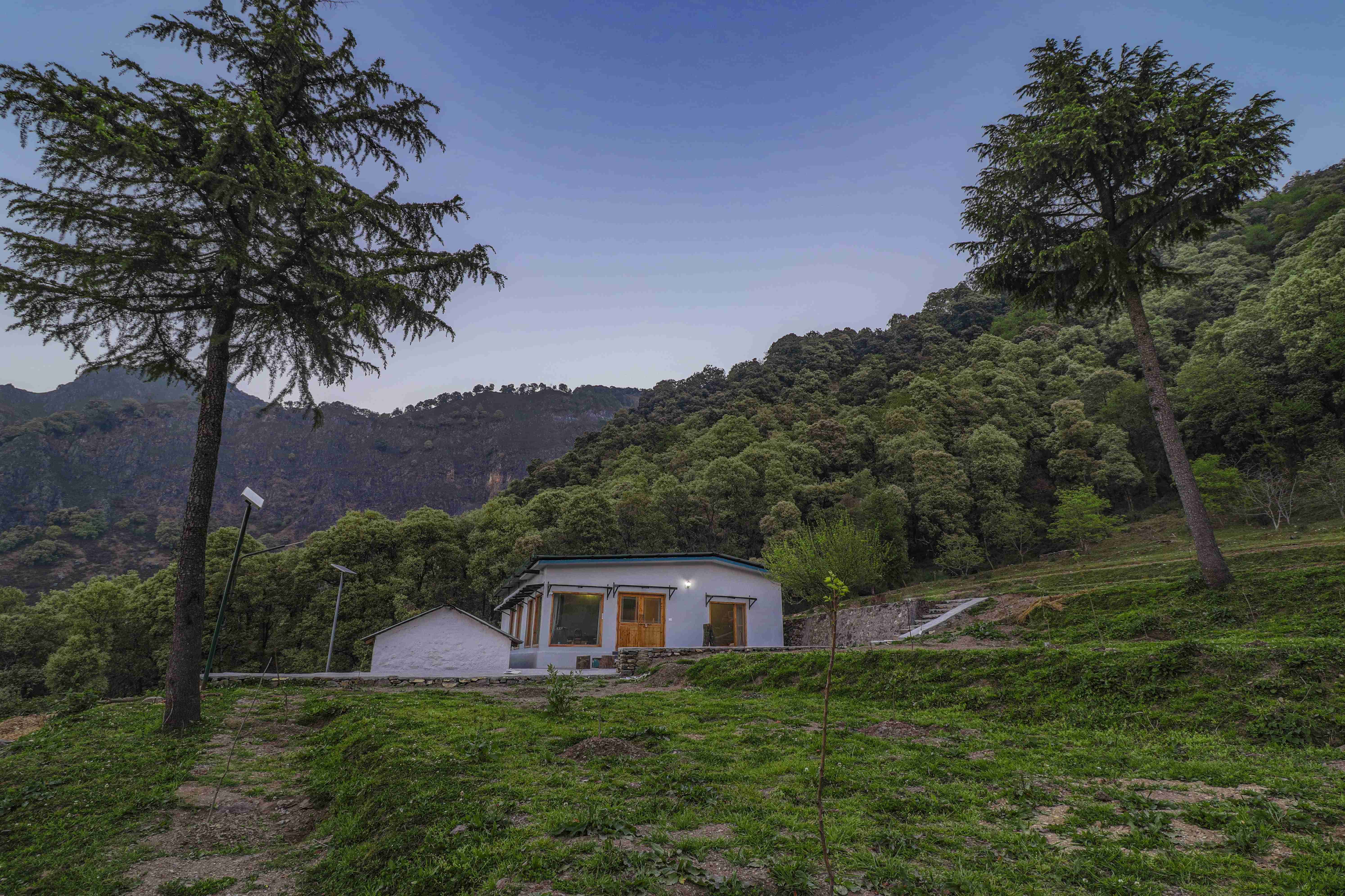 gallery_image